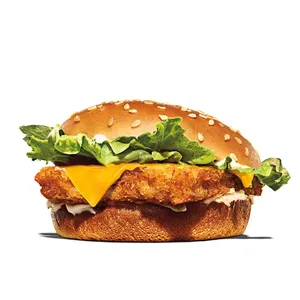 Fish Burger Only
