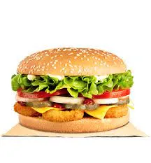 Salad Burger