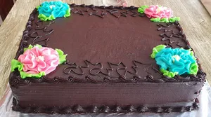Vegetarian Chocolate Cake With Chocolate Icing