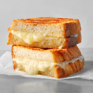 Plain Cheese Sandwich - Toasted